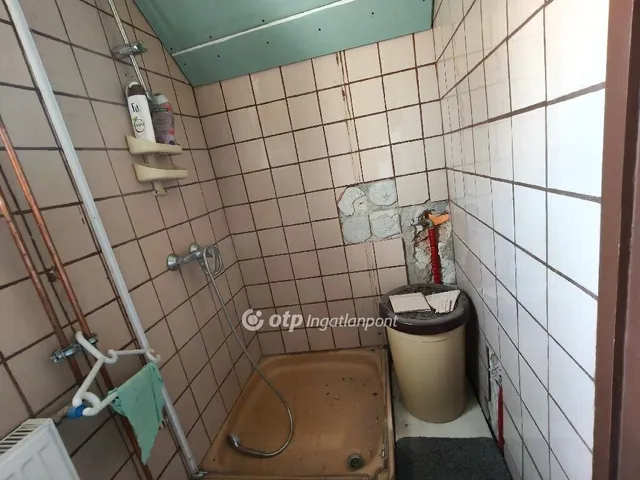 Eladó ház Délegyháza 195 nm