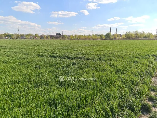 Eladó telek Szigetszentmiklós 1144 nm