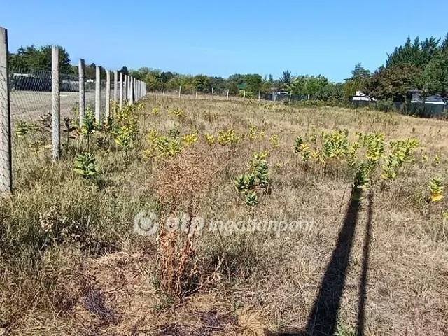 Eladó telek Szigetújfalu 1181 nm