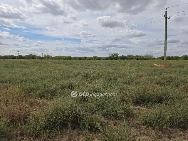 Eladó telek Tököl 1455 nm