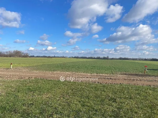 Eladó telek Taksony 4582 nm