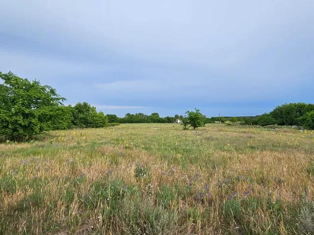 Eladó telek Nagykáta 1229 nm