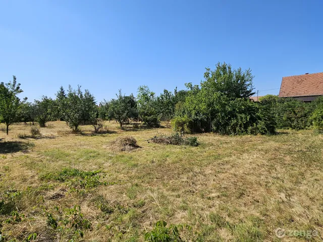Eladó telek Jászszentandrás 1775 nm