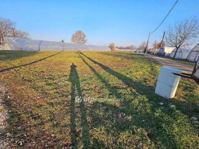 Eladó telek Szentes 1440 nm