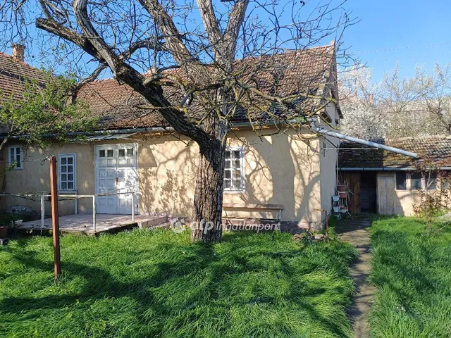 Eladó ház Csongrád 165 nm