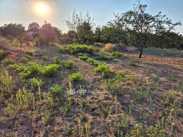 Eladó telek Szentes 2329 nm