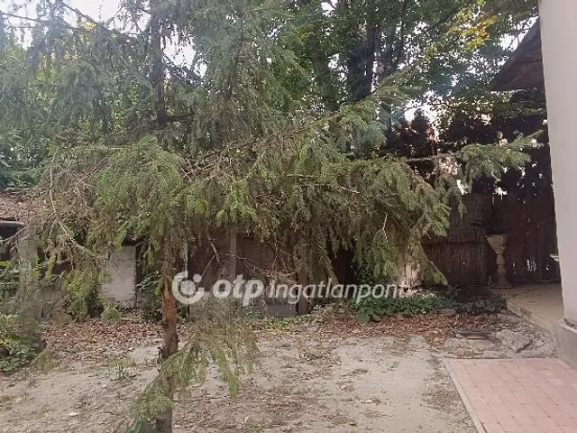 Eladó lakás Szeged 111 nm