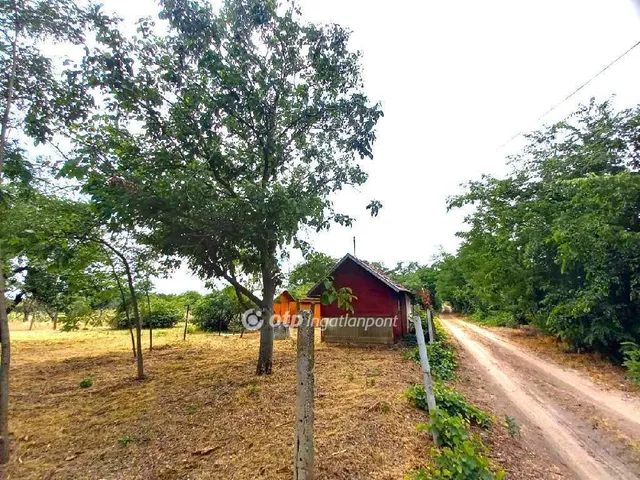 Eladó üdülő és hétvégi ház Csongrád 16 nm