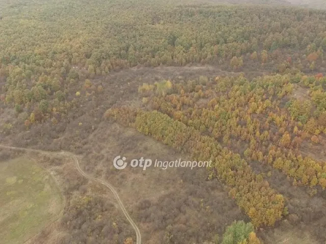 Eladó mezőgazdasági ingatlan Felsőtárkány 700000 nm