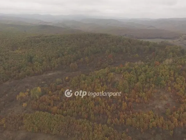 Eladó mezőgazdasági ingatlan Felsőtárkány 700000 nm