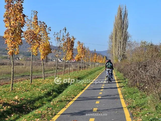 Eladó telek Eger 7435 nm