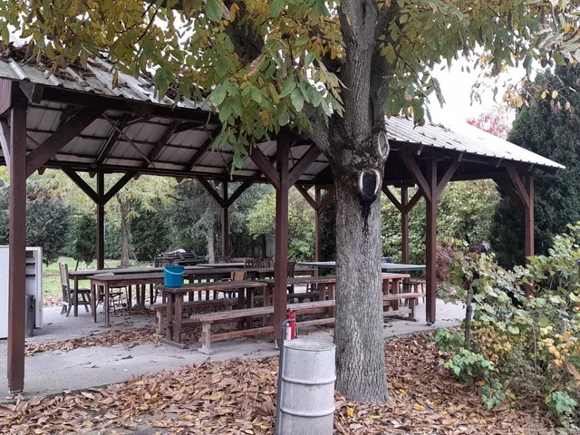 Eladó kereskedelmi és ipari ingatlan Sarud 159 nm