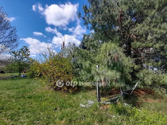 Eladó kereskedelmi és ipari ingatlan Eger 10827 nm