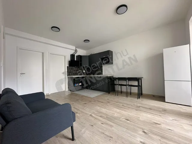 Kiadó lakás Budapest VIII. kerület 55 nm