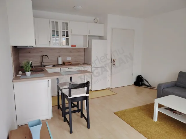 Kiadó lakás Budapest XIII. kerület 31 nm