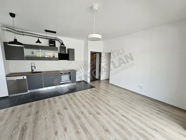 Kiadó lakás Budapest XIII. kerület 71 nm