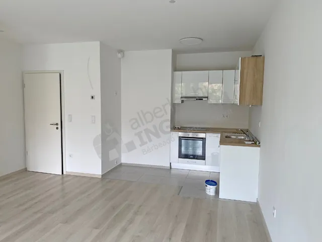 Kiadó lakás Budapest IX. kerület, Mester utca 49 nm