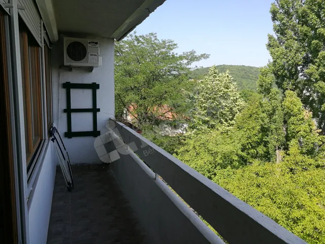 Kiadó lakás Budapest II. kerület, Zöldmál, Zöldlomb utca 65 nm