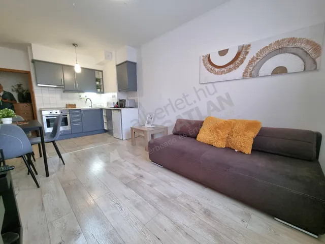 Kiadó lakás Budapest VII. kerület, Belső-Erzsébetváros, Akácfa utca 48 nm