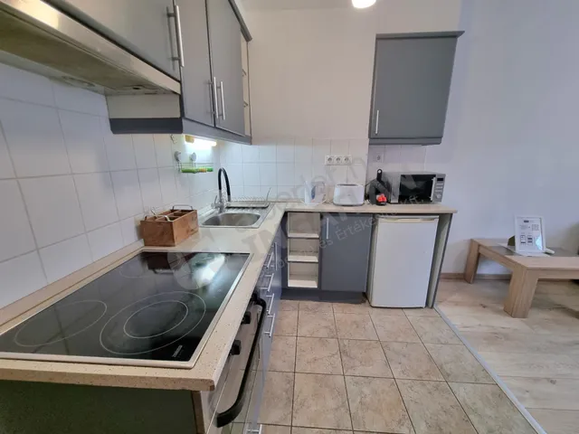 Kiadó lakás Budapest VII. kerület, Belső-Erzsébetváros, Akácfa utca 48 nm