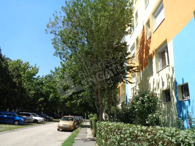 Kiadó lakás Budapest XIV. kerület, Zugló, Francia út 54 nm