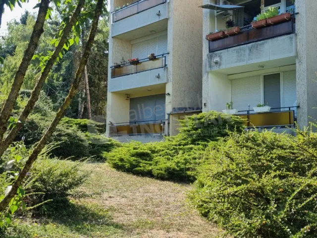 Kiadó lakás Budapest XI. kerület, Sasad-Sashegy XI. ker., Ugron Gábor utca 59 nm
