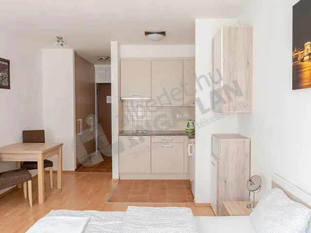 Eladó lakás Budapest VII. kerület, Garay utca 29 nm