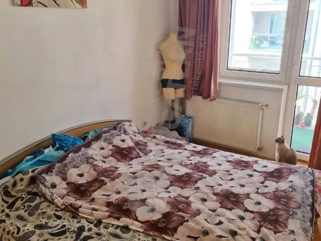 Kiadó lakás Budapest IX. kerület, Márton utca 44 nm
