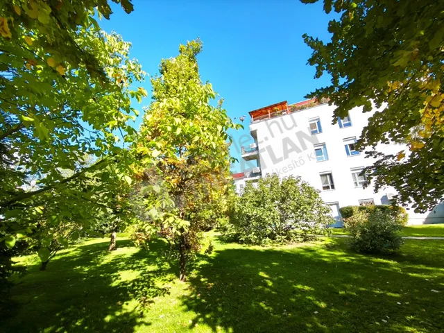 Kiadó lakás Budapest XIV. kerület, Szugló utca 50 nm