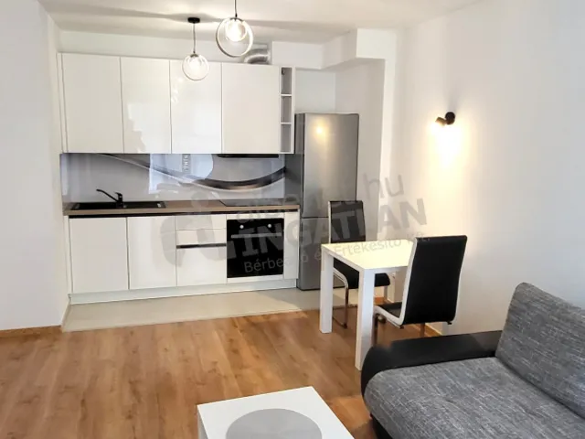 Kiadó lakás Budapest IX. kerület, Lenhossék utca 45 nm