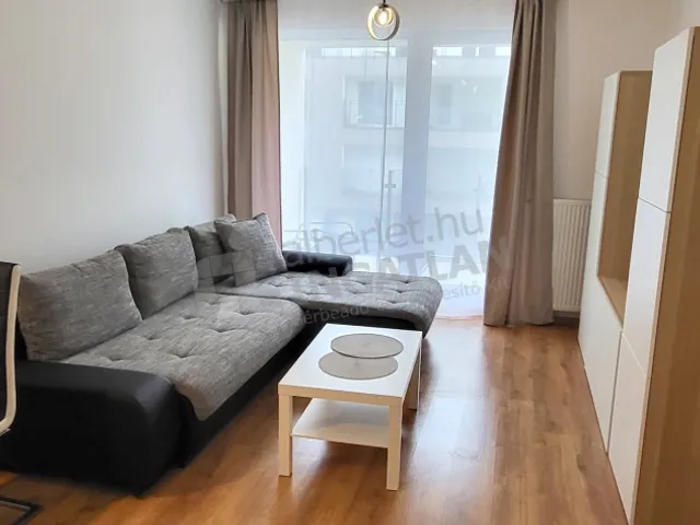 Kiadó lakás Budapest IX. kerület, Lenhossék utca 45 nm