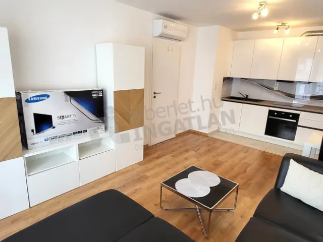 Kiadó lakás Budapest IX. kerület, Lenhossék utca 45 nm