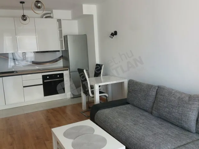 Kiadó lakás Budapest IX. kerület, Lenhossék utca 45 nm