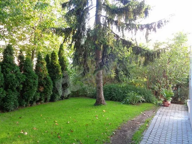 Kiadó lakás Budapest II. kerület, Törökvész, Törökvész út 70 nm