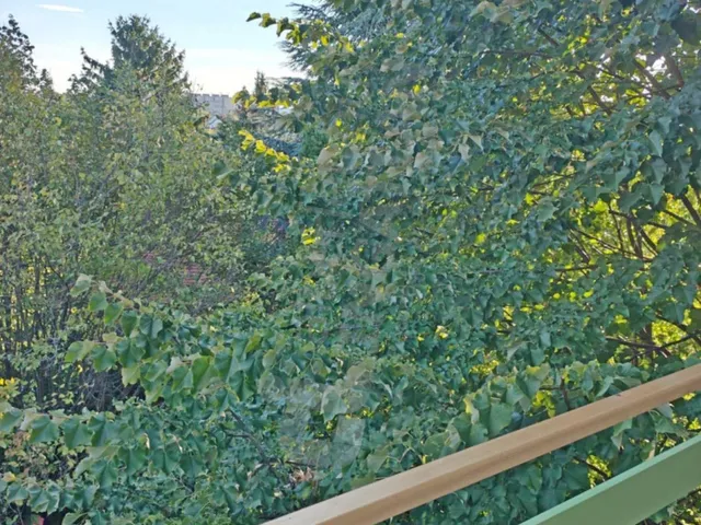 Kiadó lakás Budapest XI. kerület, Sasad-Sashegy XI. ker., Sasadi köz 54 nm