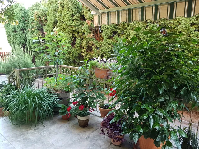 Kiadó ház Maglód, Krisztinatelep 120 nm