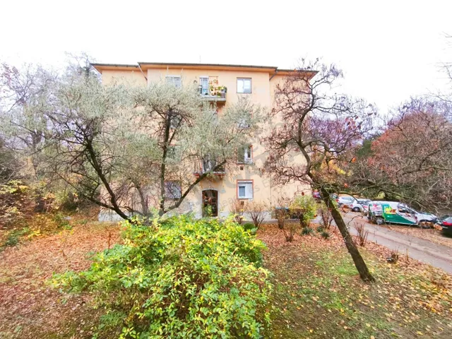 Kiadó lakás Budapest XIV. kerület, Zugló 50 nm