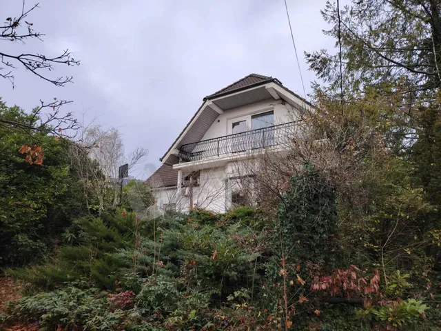 Kiadó ház Budapest III. kerület, Remetehegy 240 nm