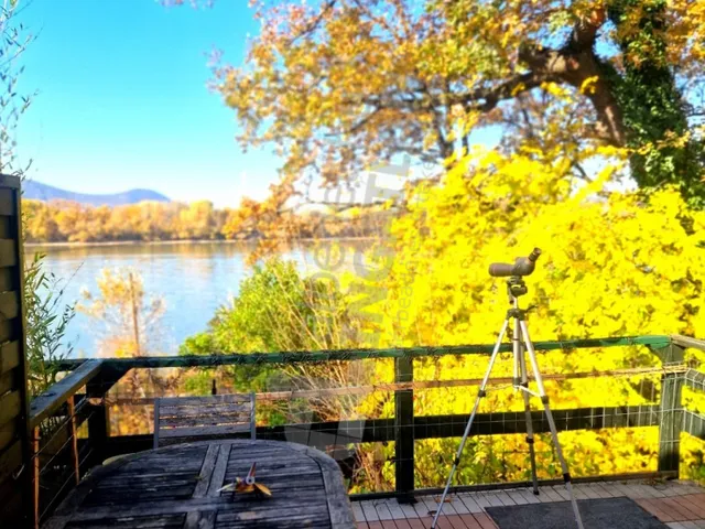 Eladó lakás Budapest XIII. kerület, Népsziget 96 nm