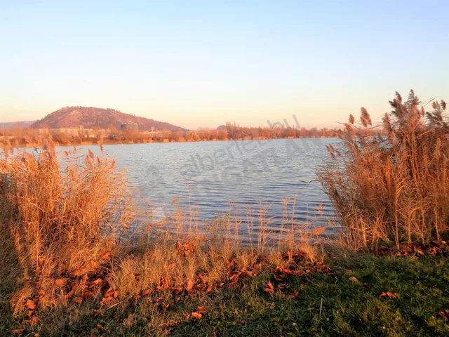 Kiadó lakás Biatorbágy, Kőris utca 72 nm