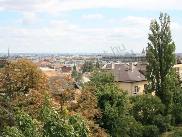 Kiadó lakás Budapest II. kerület, Országút 55 nm