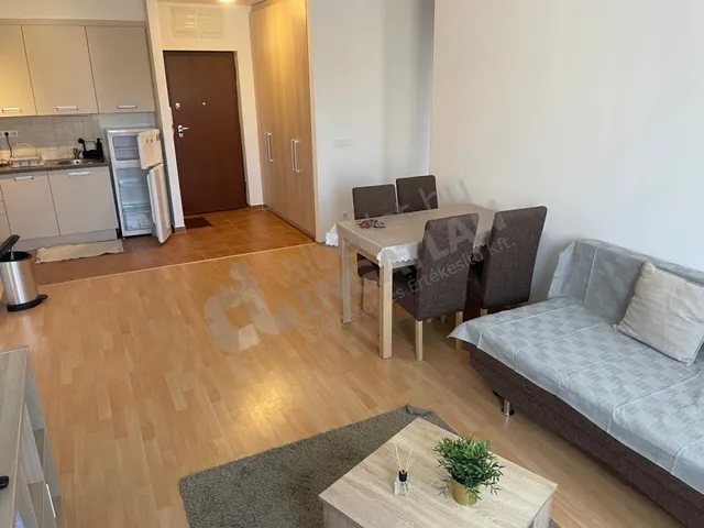 Kiadó lakás Budapest VII. kerület, Külső-Erzsébetváros 66 nm