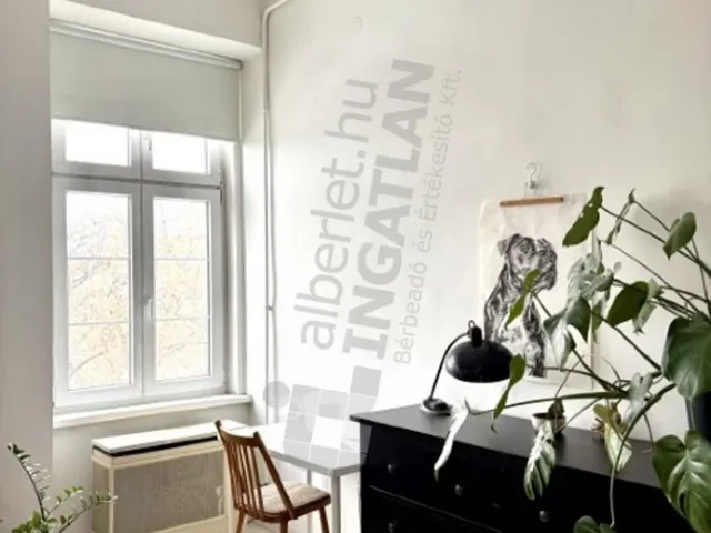 Kiadó lakás Budapest VI. kerület, Hunyadi tér 37 nm
