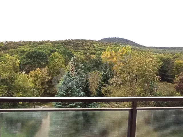 Kiadó lakás Budapest II. kerület, Kurucles, Kuruclesi út 63 nm