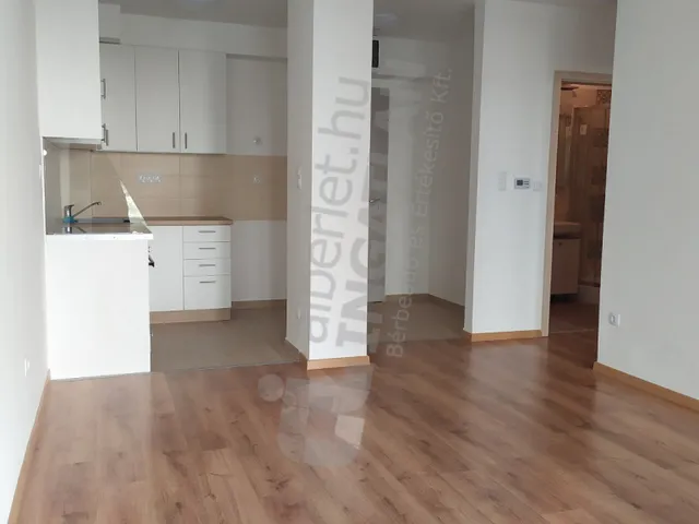 Kiadó lakás Budapest IX. kerület, Lenhossék utca 44 nm