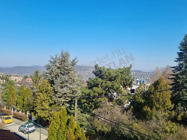 Kiadó ház Budapest XII. kerület, Kútvölgy, Városkúti út 240 nm