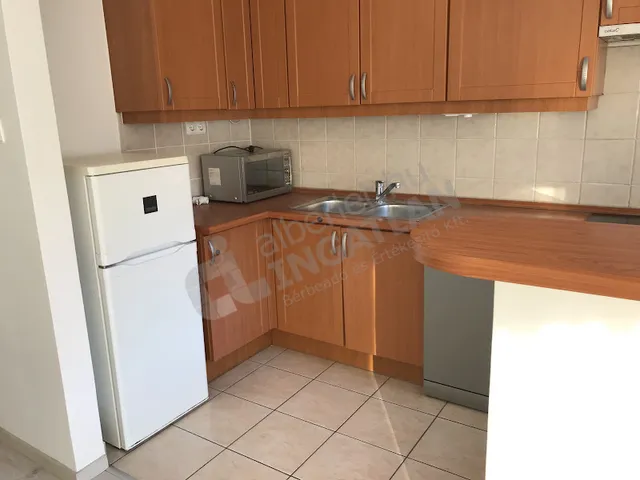 Kiadó lakás Budapest XIII. kerület 67 nm