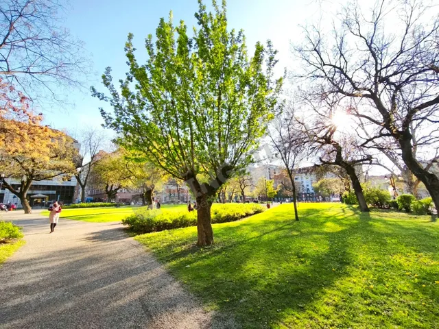 Kiadó lakás Budapest VIII. kerület, Diószegi Sámuel utca 27 nm