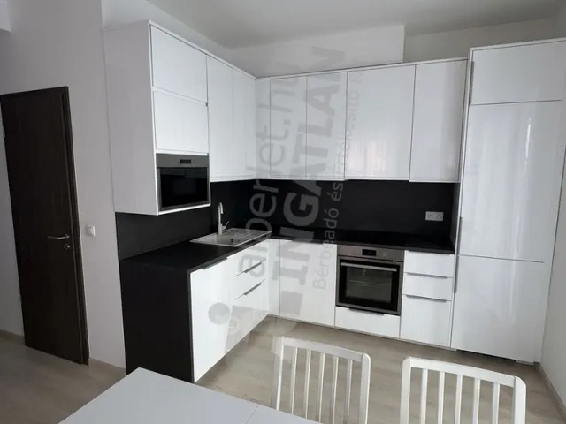 Kiadó lakás Budapest XI. kerület, Budapart, Bíró László József körút 58 nm