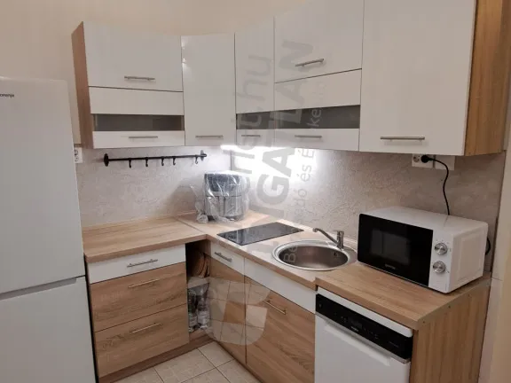 Kiadó lakás Budapest VIII. kerület, Baross utca 60 nm